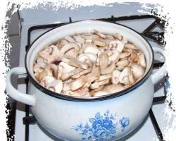 Грибной суп из шампиньонов – общие принципы приготовления